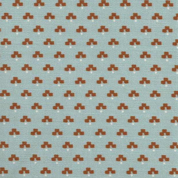 Cornflower - F