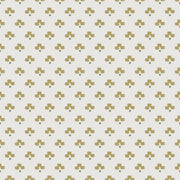Sesame - WP