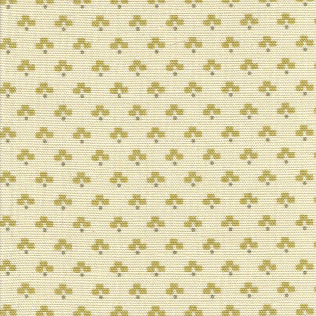 Sesame - F