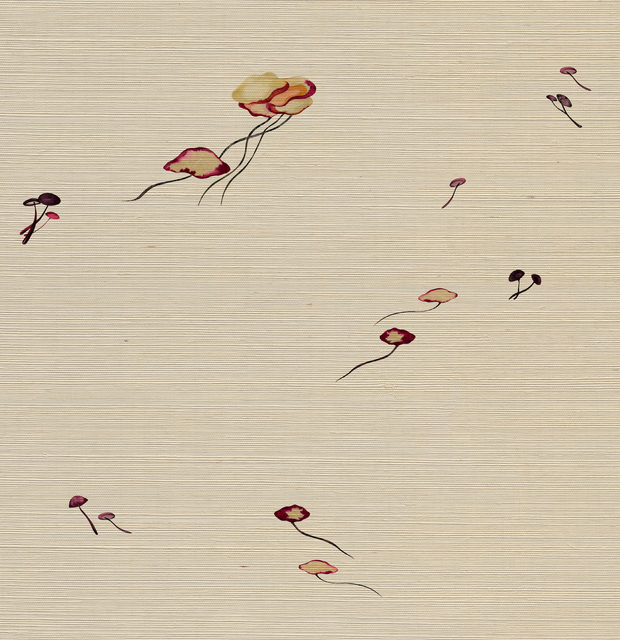 Sisal - Myco Grasscloth Wallpaper by Sq Ft