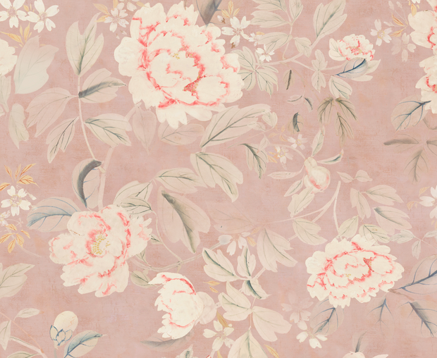 Blush Wallpaper | Peony, 27" Width, Half Drop, Sold by Yard