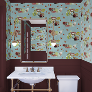 Sky Wallpaper – Tarot Collection | Toll Coated Non-Woven Designer Wallcovering