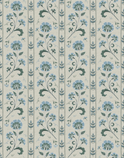 Turquoise - WP