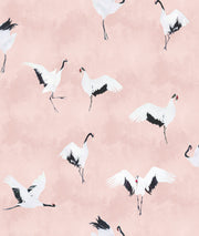 Goldwyn Pink - WP