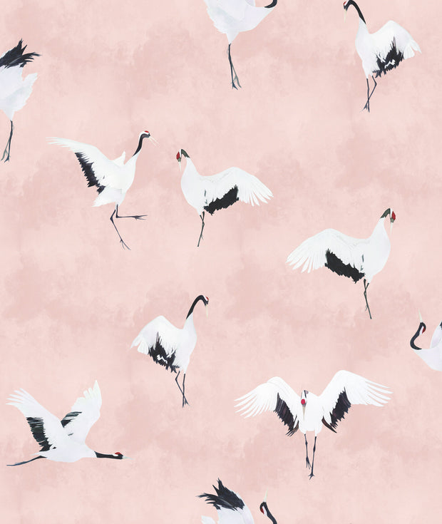 Goldwyn Pink - WP