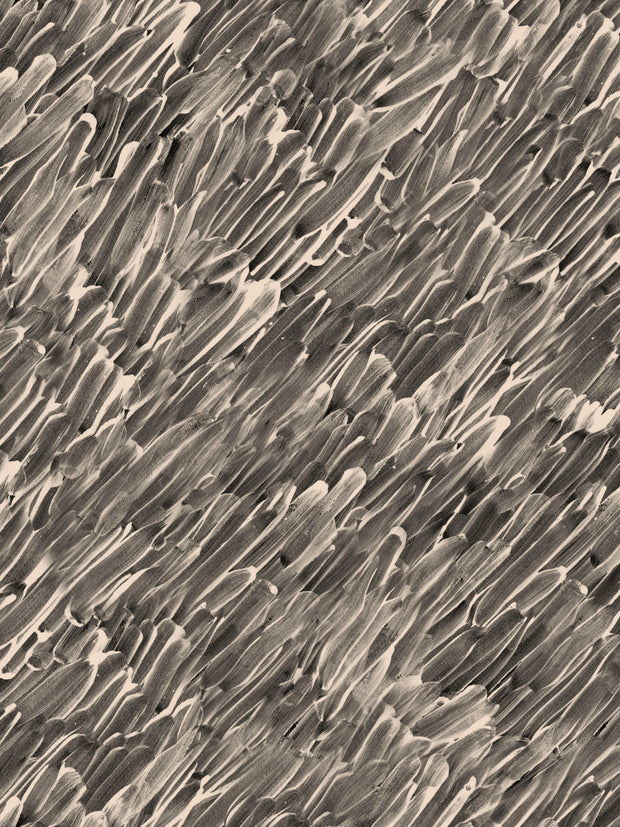White Tea on Charcoal - WP