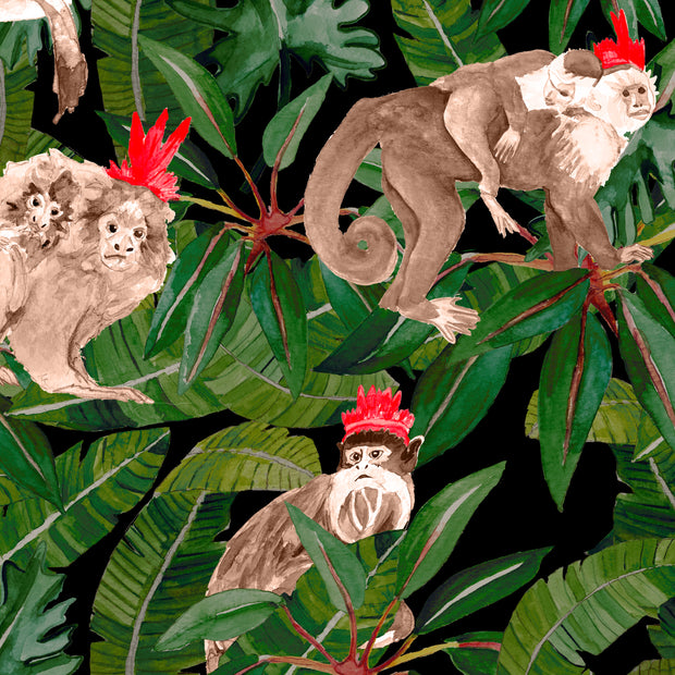 Brown Monkeys - WP