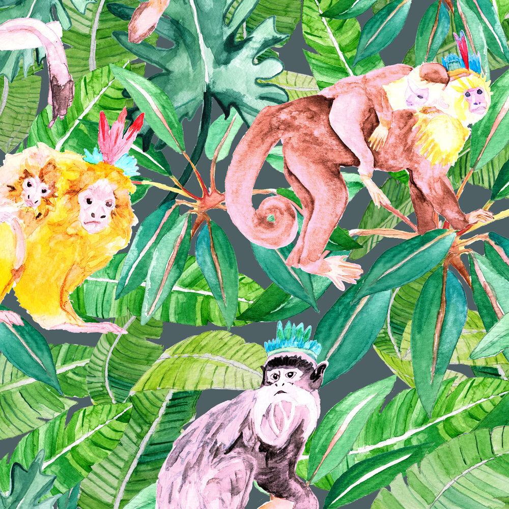 Yellow Monkeys - WP – SUPPLY Showroom