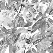Black & White Monkeys - WP