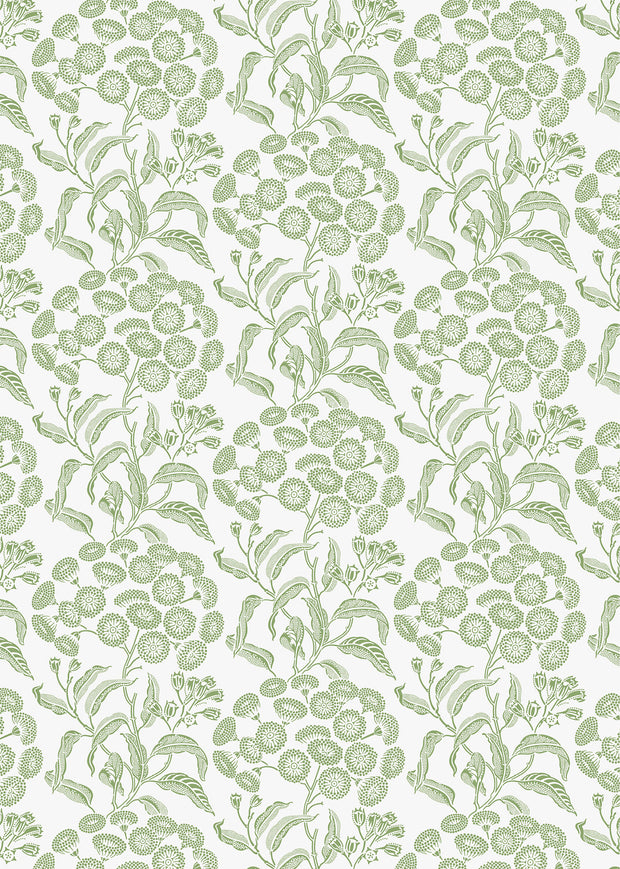 Green - WP | Angophora Wallpaper by Yard, 28" Trimmed, 5-Yard Minimum