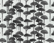 Wink - Umbrella Pine Wallpaper - Premium Quality | Supply Showroom