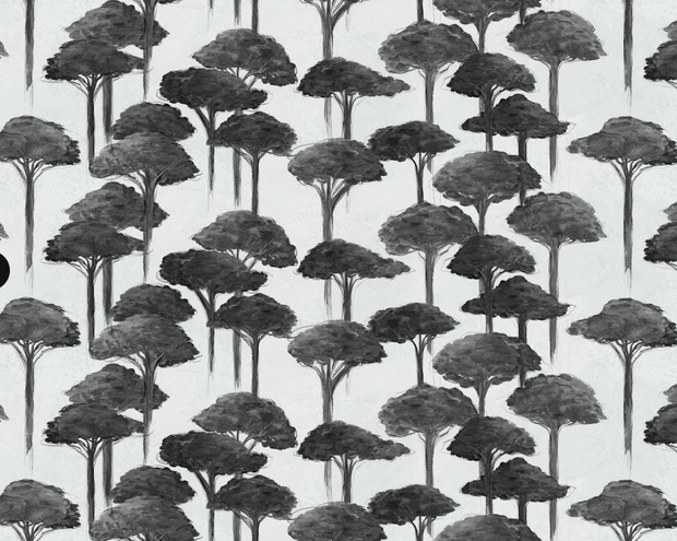 Wink - Umbrella Pine Wallpaper - Premium Quality | Supply Showroom