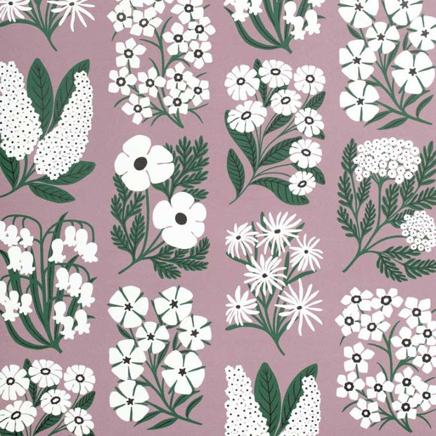 Mauve - WP