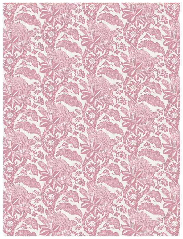 Pink - WP