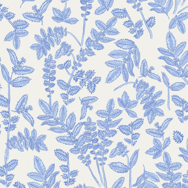 Classic Blue - WP