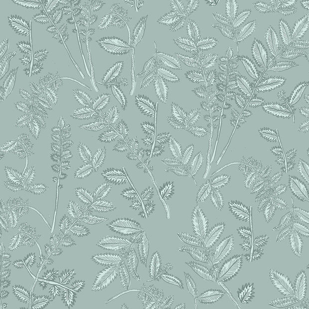 Wintergreen - WP