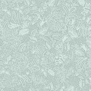 Agave - WP