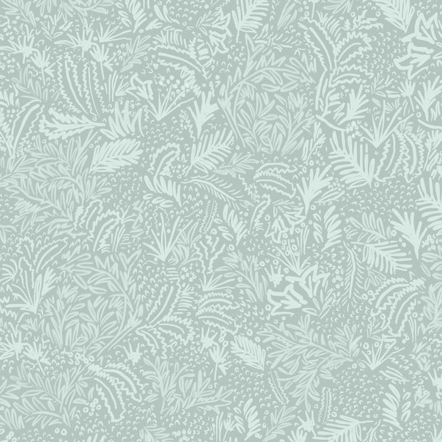 Agave - WP