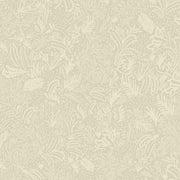Cider - WP
