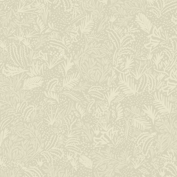 Cider - WP