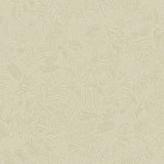 Cider - WP