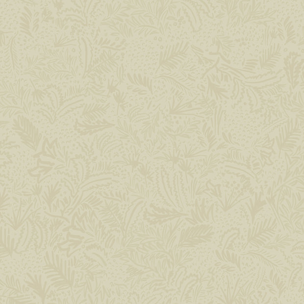 Cider - WP