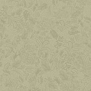 Picholine - WP