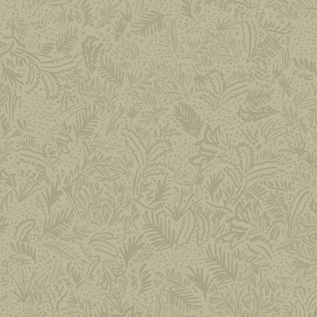 Picholine - WP