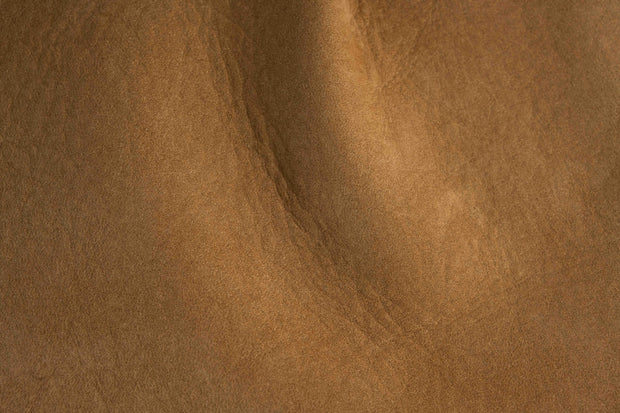 Camel  - L