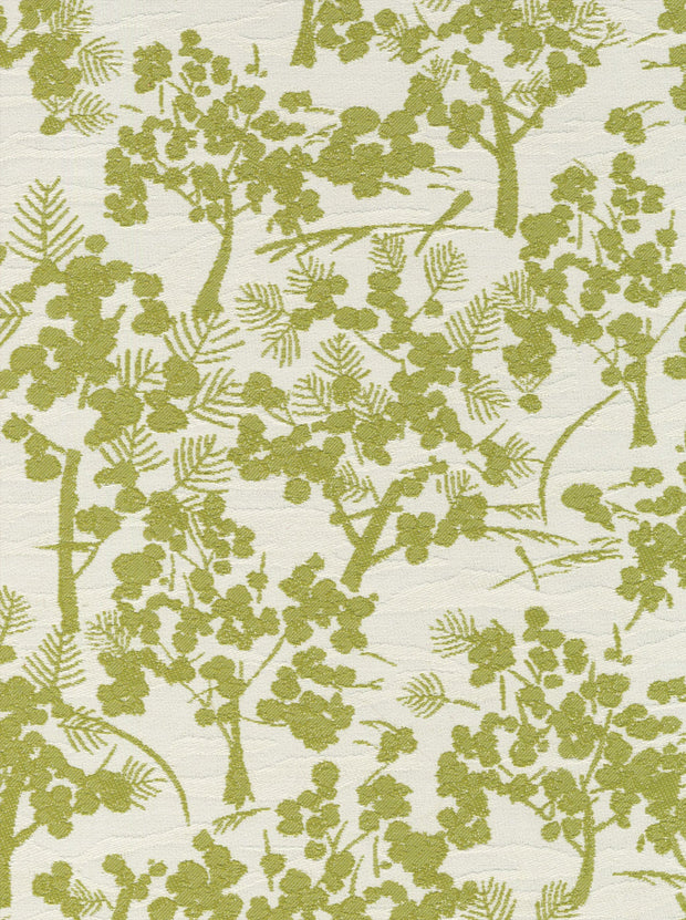 Dirty Martini Fabric – Lush, 100% Recycled Poly for Outdoor Use