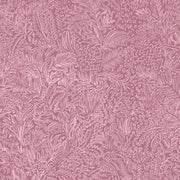 Bloom - WP