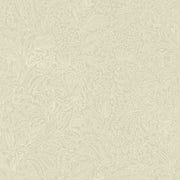 Cider - WP