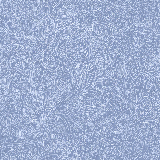 Cornflower - WP