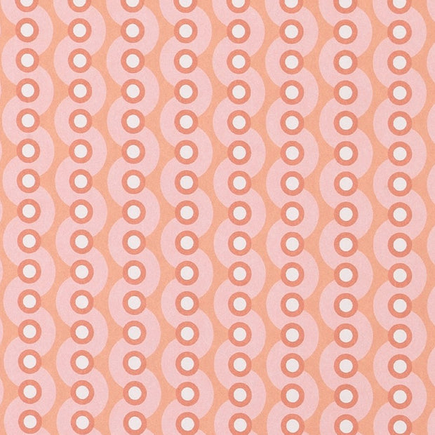 Shrimp - WP