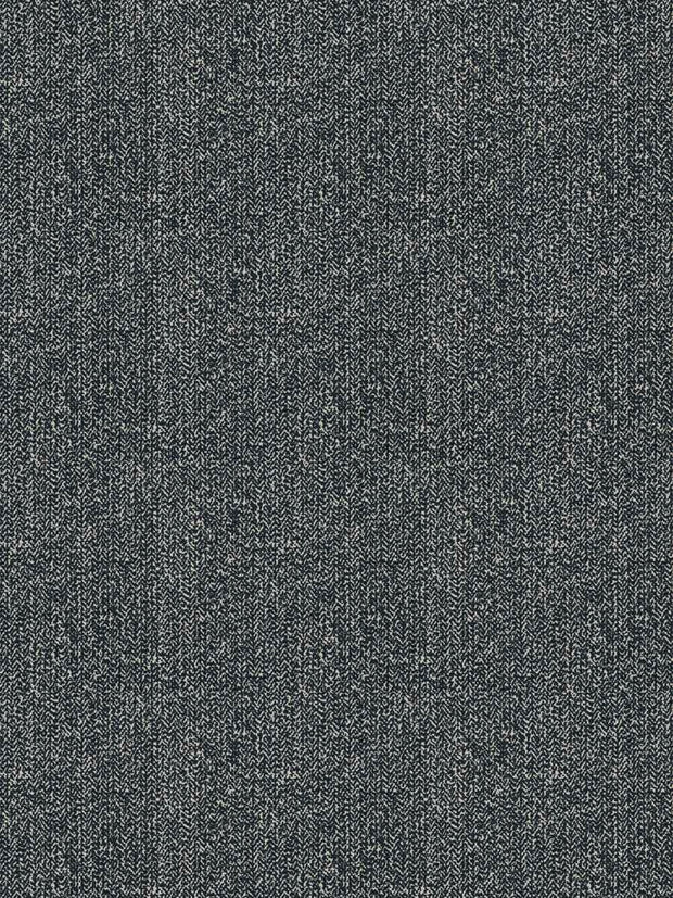 NAVY - F
