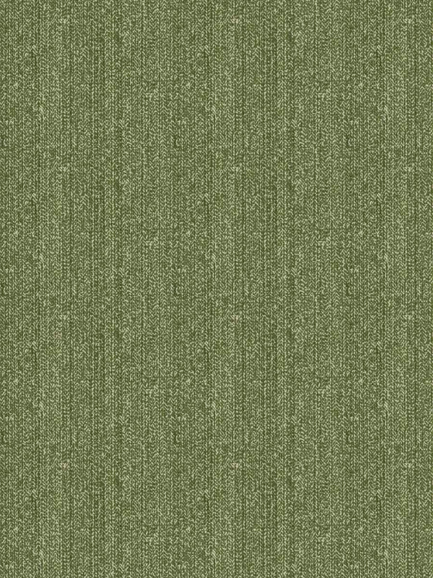 FERN - F