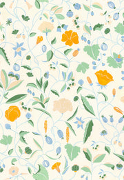 Orange - WP