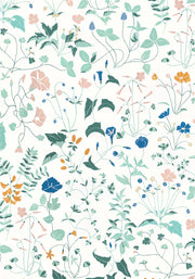 Ambre - WP
