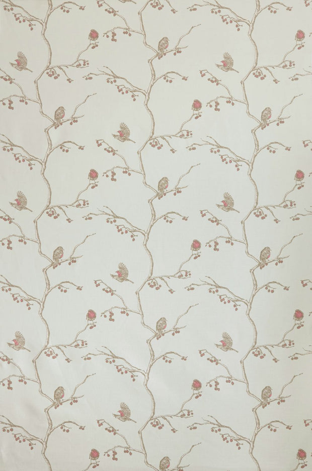 Parchment - English Robin - Premium Quality | Supply Showroom