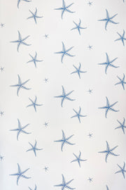 Blue on Parchment - WP