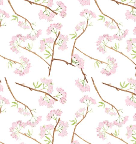 Pink - WP