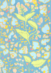 Symbiose Naturelle - F
