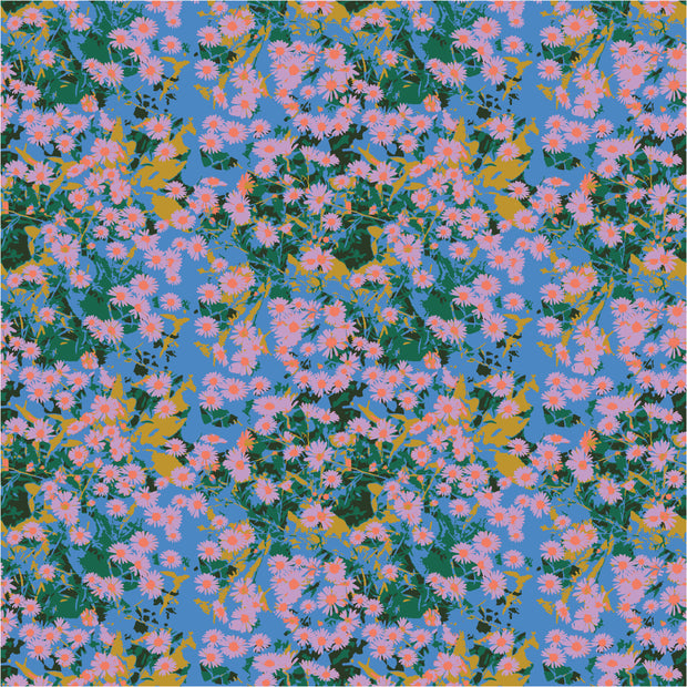 Daisy Blue  - WP