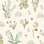 Darcy Fabric – Linen/Cotton Canvas, 54" Wide | Supply Showroom