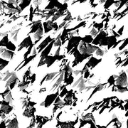 Black + White - WP