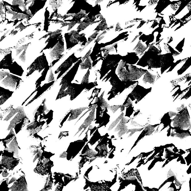 Black + White - WP