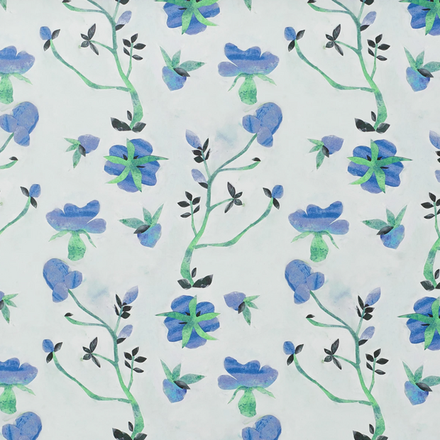 Blueberry - WP