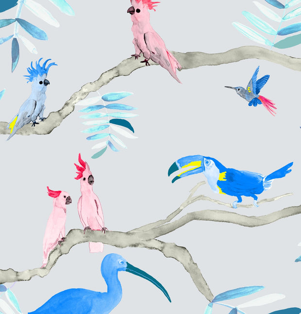 Blue & Coral Toucans - WP