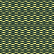 Evergreen - F