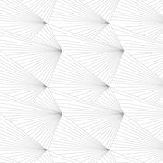 Grey + White - WP